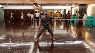 【推敲太極拳】【20180901(10)】斜退