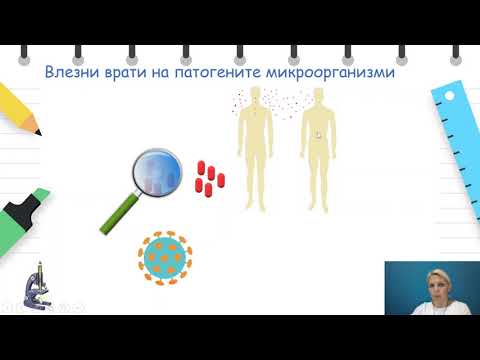 VII  - Биологија - Микроорганизми кои предизвикуваат болест,претставување на болести