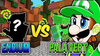 Full Endium Vs Full Pala Vert !! - Episode 51 Pvp Faction Moddé - Paladium V5.6