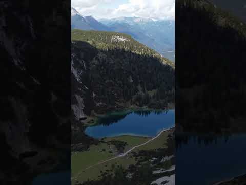 سورة التين بصوة القارئ ياسين الجزائري Sourat Al Tine 