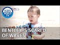 Bentley is scared of waves [The Return of Superman/2019.07.07]