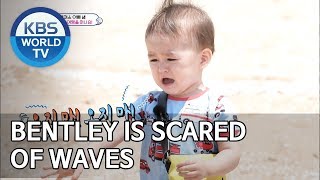 Bentley is scared of waves [The Return of Superman/2019.07.07]