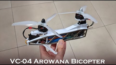 Arowana Tandem Bicopter (VC-04 sub-250g chinook with 2S-18650)