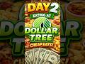 Day 2 Eating Only At Dollar Tree #shorts #viral #foodie #vlog #snacks