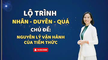 Nguyên Lý Vận Hành Của Tiềm Thức | Lộ Trình Nhân Duyên Quả #thamnguyenanvui #hanhphuc