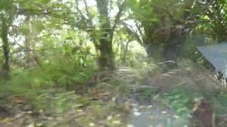 20100523