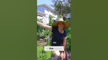 Prevent Sun Scald on Plants: Simple Shade Cloth Solution