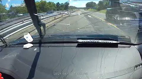 Tree Falls Across Highway Into Unlucky Motorist
