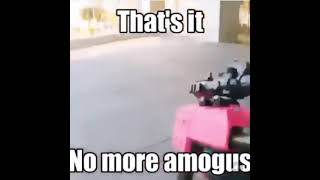 No more Amogus