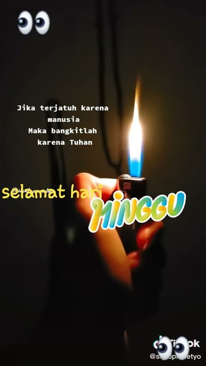 hap sun all