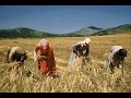 Rotînda Agirê Bizot