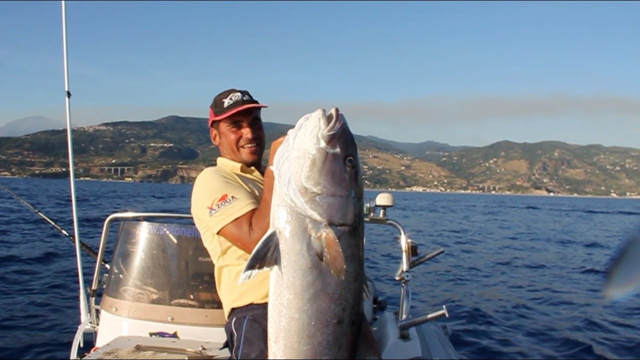 Fish Riciolla Un pesce importante ricciola - YouTube