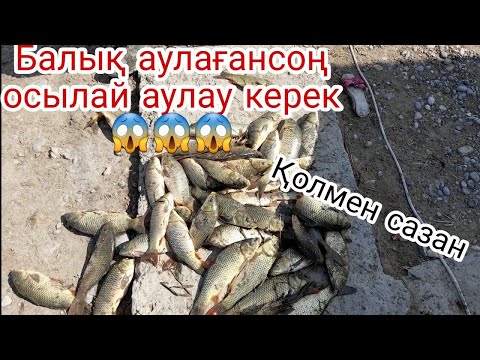 Бейне: Аквариумда балықты қалай ұстауға болады