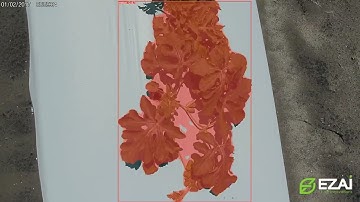 New Agricultural Technology Learning How to Identify Vegetation in Real Time!!!