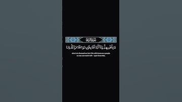 له معقبت من بين يديه ومن خلفه #سعد_الغامدي #تلاوة_خاشعة #راحة_نفسية #quran #tilawat #اكسبلور