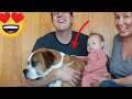 Baby hugs her dog for first time  cutest thing ever  