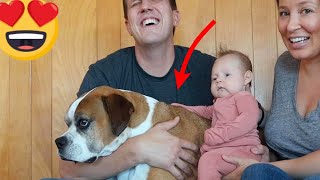 Baby hugs her dog for first time [ Cutest Thing EVER!!! ] 😂