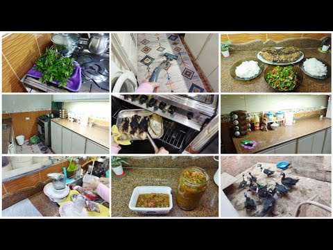 ده نظامي اللي ماشيه عليه من غير تبذير ولا حرمان عايشه طول عمرى بذكاء فى رضا عايشه حياتى