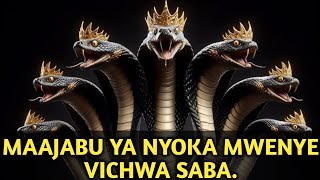 THE MIRACLES OF THE SEVEN-HEADED SNAKE AND WHY WERE YOU BORN LIKE THAT? THE MIRACLES OF THE SEVEN-HEADED SNAKE AND WHY WERE YOU BORN LIKE THAT?