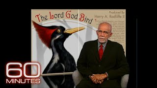 60 Minutes Archive: The Lord God Bird