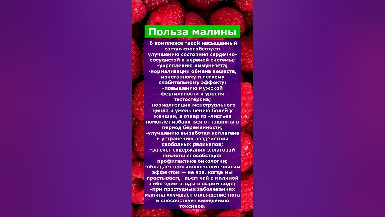 Польза малины - YouTube