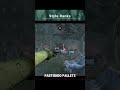 "SE VIENEN MUCHOS CAMBIOS (Nuevo Superviviente + Rework)”