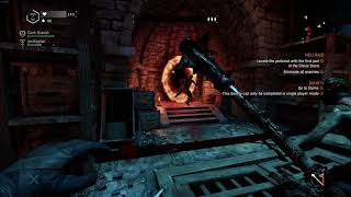 Dying Light - Hellraid Blind Run