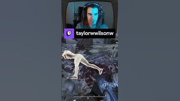 | F76 | PC | Sunday Sunny Day Stream | taylorwwilsonw on #Twitch