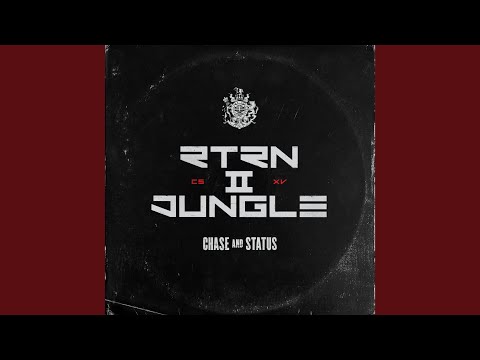 Chase & Status — Disaster