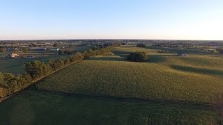 Lexington Kentucky horse country in 4k