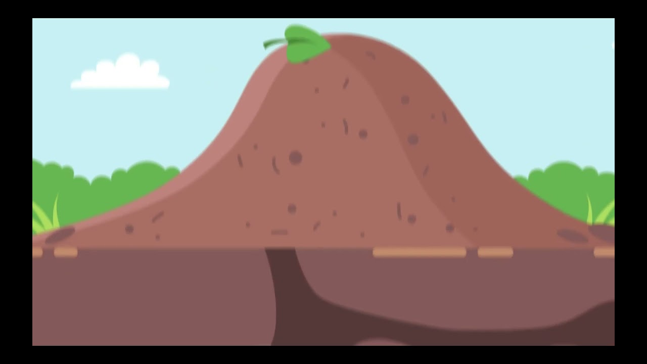 Homophones Homographs