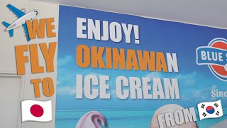 Seoul to Okinawa! 【ICN】 ➡【OKA】 @wonkfam