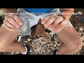 Knapping Agatized Coral Preforms-Part 1