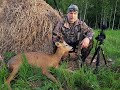 Охота на косулю в Беларуси.