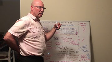 How to find primary problem patterns (A.R.T) from holistic postural assessment.