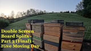 Double Screen Board Splits  - Step 3 (Final) - Moving #honeybee Hives