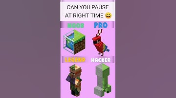 #shorts #ytshorts  CAN YOU PAUSE AT RIGHT TIME #minecraft