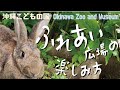 どうぶつたち【動物ふれあい広場の楽しみ方&お約束】