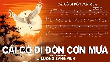 CÁI CÒ ĐI ĐÓN CƠN MƯA – Lời ĐỒNG DAO – Nhạc LƯƠNG BẰNG VINH – 08 TL