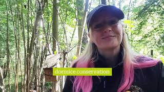 #DormouseWeek: Lorna Griffiths