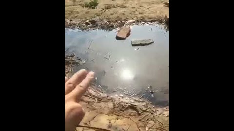 A great example of polarization effect