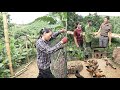 Taking Care Of A Peaceful Small Farm Ex Husband Looking For Wife And Child Ly Vy Ca Taking Care Of A Peaceful Small Farm Ex Husband Looking For Wife And Child Ly Vy Ca