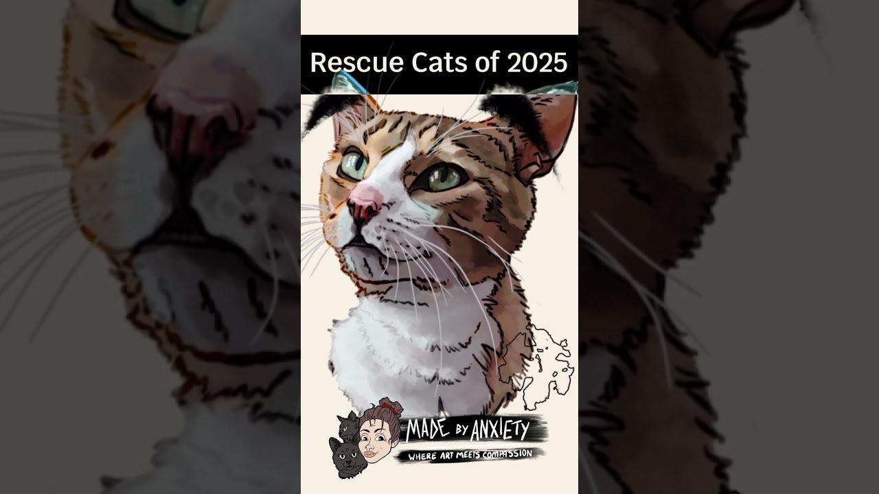 ✨🐾 The 2025 Rescue Cat Collection! 🐾✨