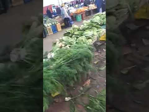 السوق الاسبوعية وادي مليز جندوبة تونس