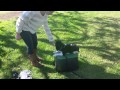 Canine Tutors, San Jose Dog Training, Big or Small We Train Em All Canine Tutors, San Jose Dog Training, Big or Small We Train Em All