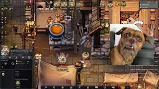 NORLAND│How to buy a DOG and WHY you Should - Guide 2024