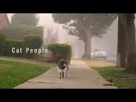 Cat People Trailer