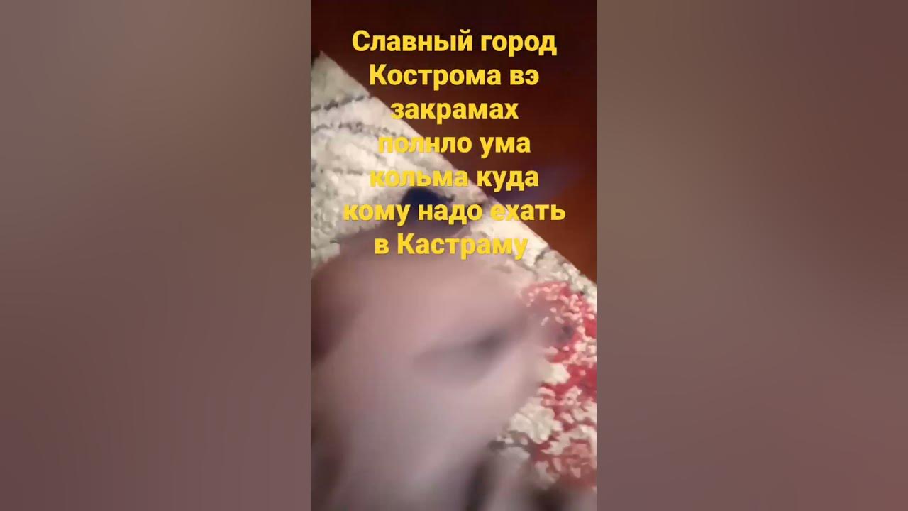 славный город Кастрома в Костроме полно ума кольма куда кому надо ехать ...