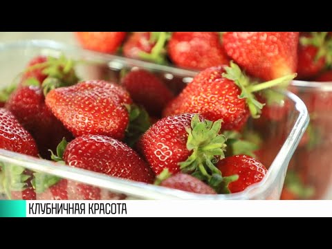#КЭБ_Итоги. Время клубники