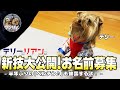 【テリーとリアン】目指せ芸達者犬❣️覚えたての新技を大公開します